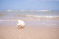 Pile Sand Isolatd on White Background. macro small heap mountain Desert Dry Sandy Beach at Coast of Sea Shore. particle striped Royalty Free Stock Photo