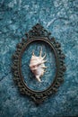 Seashell in a copper oval frame with baroque patterns on a blue textured wall Royalty Free Stock Photo