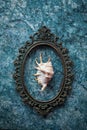 Seashell in a copper oval frame with baroque patterns Royalty Free Stock Photo