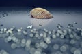 Seashell with Crystal Bokeh - Blue Tone