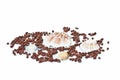 Seashell decoration Royalty Free Stock Photo