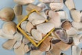 Seashell decoration in a yellow box, perfect for a summer themed background.. Royalty Free Stock Photo
