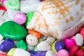 Seashell in decorative stones macro Royalty Free Stock Photo
