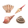 Seashell element for decoration aquariums, underwater shell in nautical concept