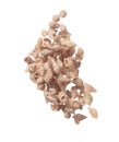 Seashell fall splashing in air. sea shell explosion flying, abstract cloud fly. Many Small pink Seashell scatter in many group. Royalty Free Stock Photo