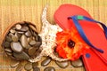Seashell, flower, pebbles and flip flop sandals