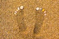 Seashell footprints on the beach. Footprints in the sand. Foot marks on the sand beach with the seashell. Rest by the