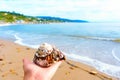 Seashell in Hand Against Ocean Backdrop in Malibu