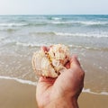 Seashell on hand at beach