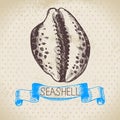 Seashell hand drawn sketch. Vintage illustration Royalty Free Stock Photo