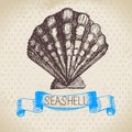 Seashell hand drawn sketch. Vintage illustration Royalty Free Stock Photo