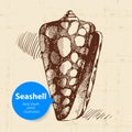 Seashell hand drawn sketch. Vintage illustration