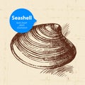 Seashell hand drawn sketch. Vintage illustration