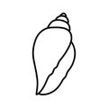 Seashell icon vector. Shell illustration sign. Sea life symbol or logo. Royalty Free Stock Photo