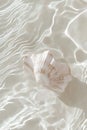 A seashell with intricate patterns rests on a sandy beach. Royalty Free Stock Photo