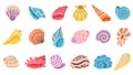 Seashell. Isolated seashells, oyster and clam. Decoration beach sea ocean elements. Cartoon summer marine objects