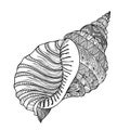 Seashell isolated on white background. HAnd drawn doodle