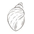 Seashell logo in line art style. Silhouette of seashell icon. Marine dwellers. Vector illustration isolated on a white Royalty Free Stock Photo