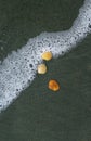 Seashell lying on the sand of the beach, half buried in the sand as the the sea wave hits it, and sea waves in the back. Royalty Free Stock Photo