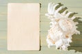 Seashell and old parchment on a wooden background. The concept of a summer vacation at sea. Copy space. Royalty Free Stock Photo