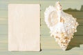 Seashell and old parchment on a wooden background. The concept of a summer vacation at sea. Copy space. Royalty Free Stock Photo