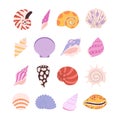 Seashell, oyster, clam set. Cartoon seashells and starfish, ocean underwater coral elements. Isolated sea beach nature Royalty Free Stock Photo