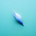 Seashell on pastel color backgrounds.Flat lay