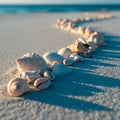 Seashell Path on Sandy Beach Royalty Free Stock Photo