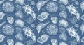 Seashell pattern featuring various species of shells, including spiral and conical Royalty Free Stock Photo