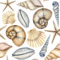 Seashell Pattern on isolated background. Hand drawn watercolor seamless ornament with Sea Shells for wrapping paper or