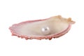 Seashell and pearl Royalty Free Stock Photo