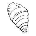 Seashell pearl line art. Summer time beach shell. Vector hand drawn seashell. Royalty Free Stock Photo