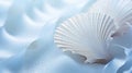 Seashell pearl white in soft diffused light on an airy fabric.