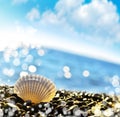 Seashell on pebbles beach Royalty Free Stock Photo