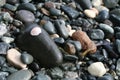 Seashell and pebbles on a beach Royalty Free Stock Photo