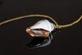 Seashell Pendant on a gold chain