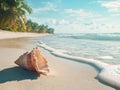 A seashell rests on the sandy beach, centered in the frame, slightly tilted with its tip pointing up Royalty Free Stock Photo
