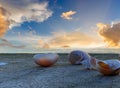 Seashell on rock stone in beach cloudy pink blue sky summer sunset nature landscape Royalty Free Stock Photo