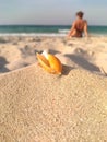 Seashell on the sandy shore