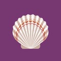 Seashell scallop flat icon