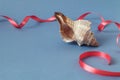 Seashell with a scarlet holiday ribbon on a blue background space for text