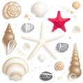 Seashell set