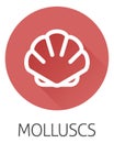 Seashell Shell Clam Mollusc Seafood Food Icon