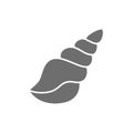 Seashell, shell grey icon. Isolated on white background Royalty Free Stock Photo