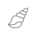 Seashell, shell line icon.