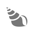 Seashell or shellfish vector icon