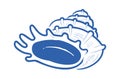 Seashell Side View Linework Royalty Free Stock Photo