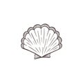 Seashell sketch collection vector illustration