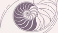Seashell spiral, natural pattern and ocean element vector design Generative AI