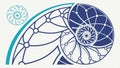 Seashell spiral pattern, ocean life and nature design vector design Generative AI